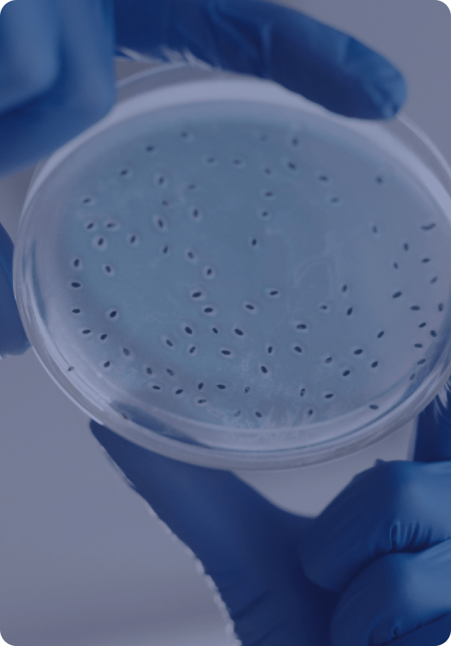 마이크로바이옴 연구