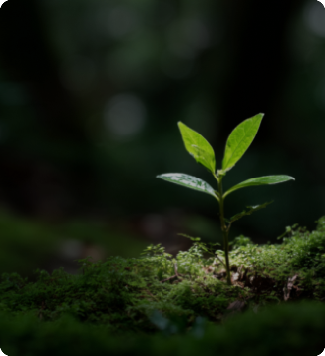 지속 가능한 믿음