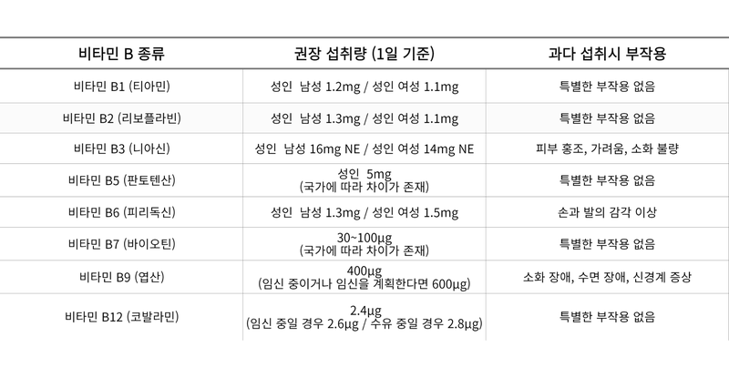 비타민B 종류 차트
